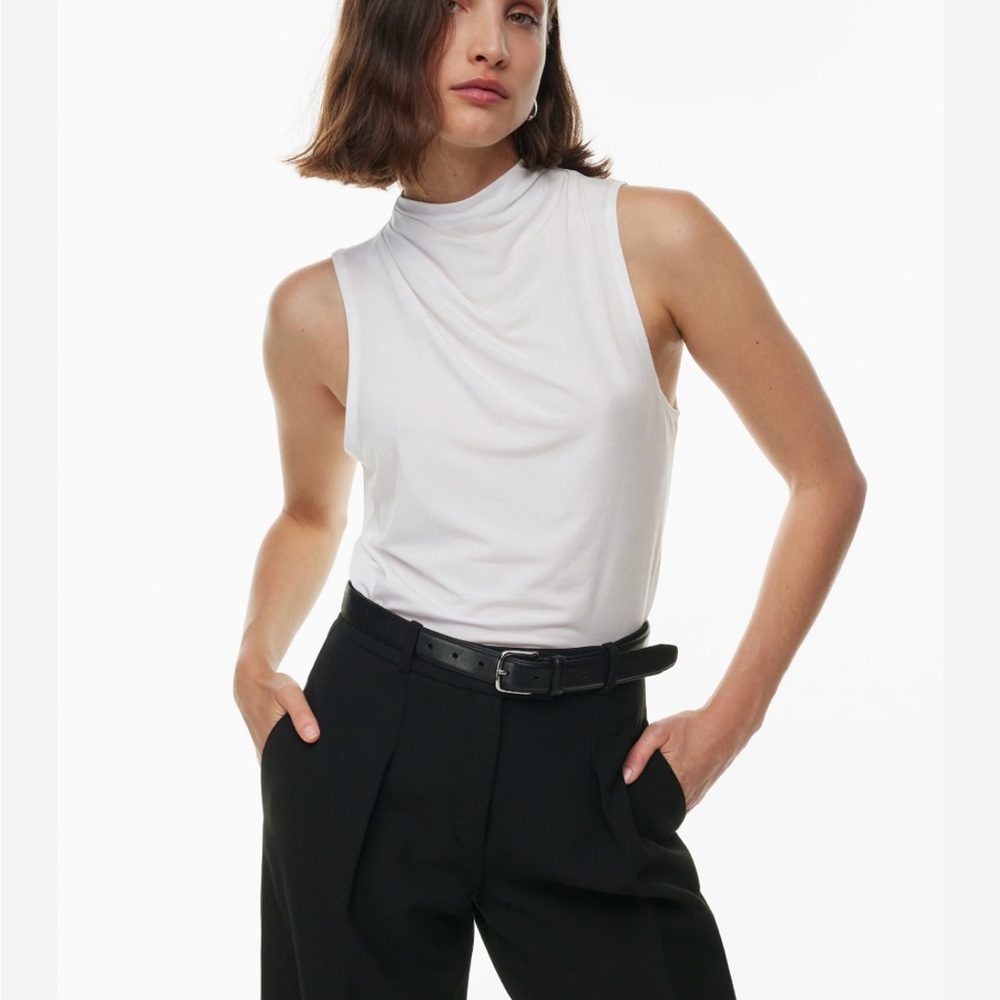 Aritzia top